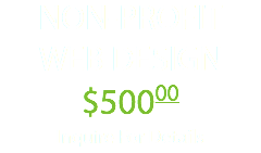 NON-PROFIT WEB DESIGN $50000 Inquire For Details