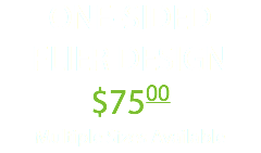 ONE-SIDED FLIER DESIGN $7500 Multiple Sizes Available