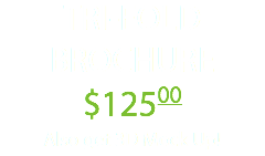 TRI-FOLD BROCHURE $12500 Also get 3D Mock Up!