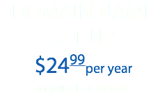 DOMAIN NAME SET-UP $2499per year Inquire For Details